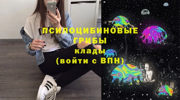 гашик Баксан