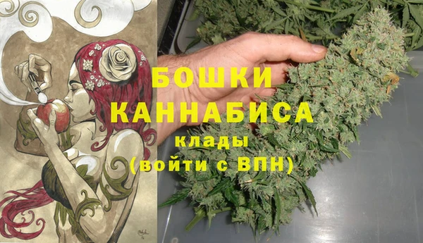 ПСИЛОЦИБИНОВЫЕ ГРИБЫ Балабаново