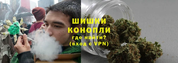 ПСИЛОЦИБИНОВЫЕ ГРИБЫ Балабаново