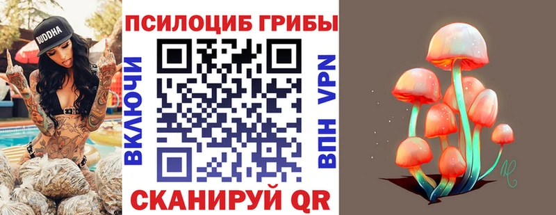 Галлюциногенные грибы Psilocybine cubensis  Шагонар 